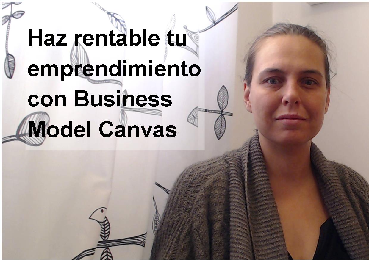 Canvas business Model